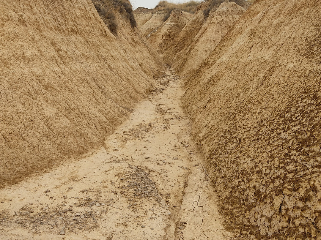 Nataven-Tudela必去景点