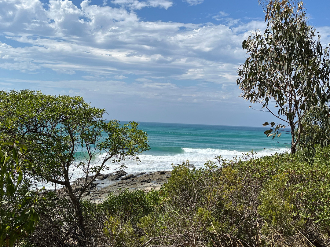Doug Stirling Walking Track-洛恩必去景点