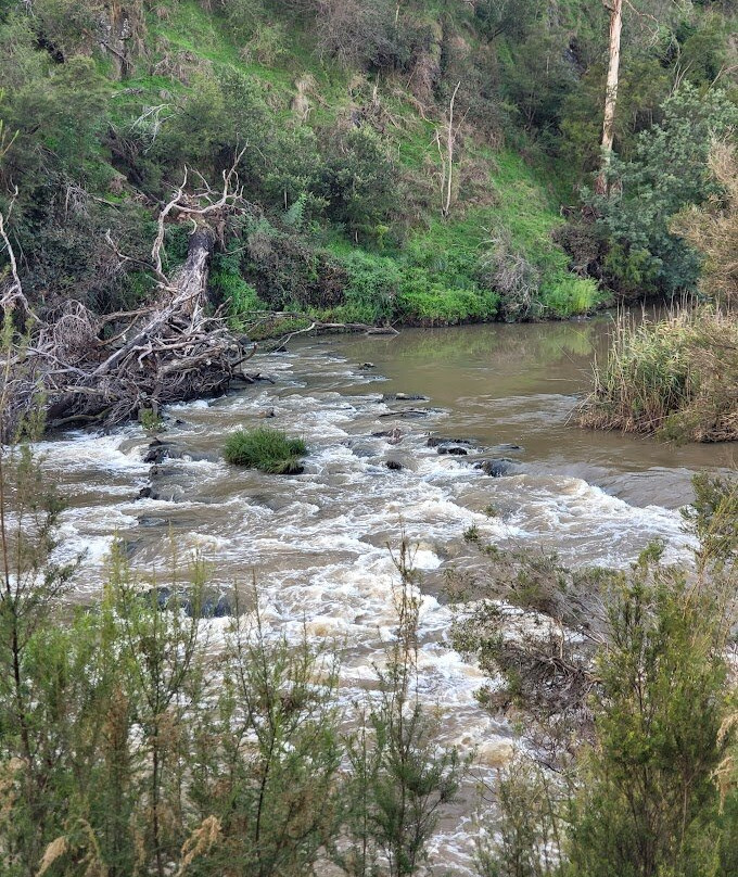 Westerfolds park-Templestowe必去景点