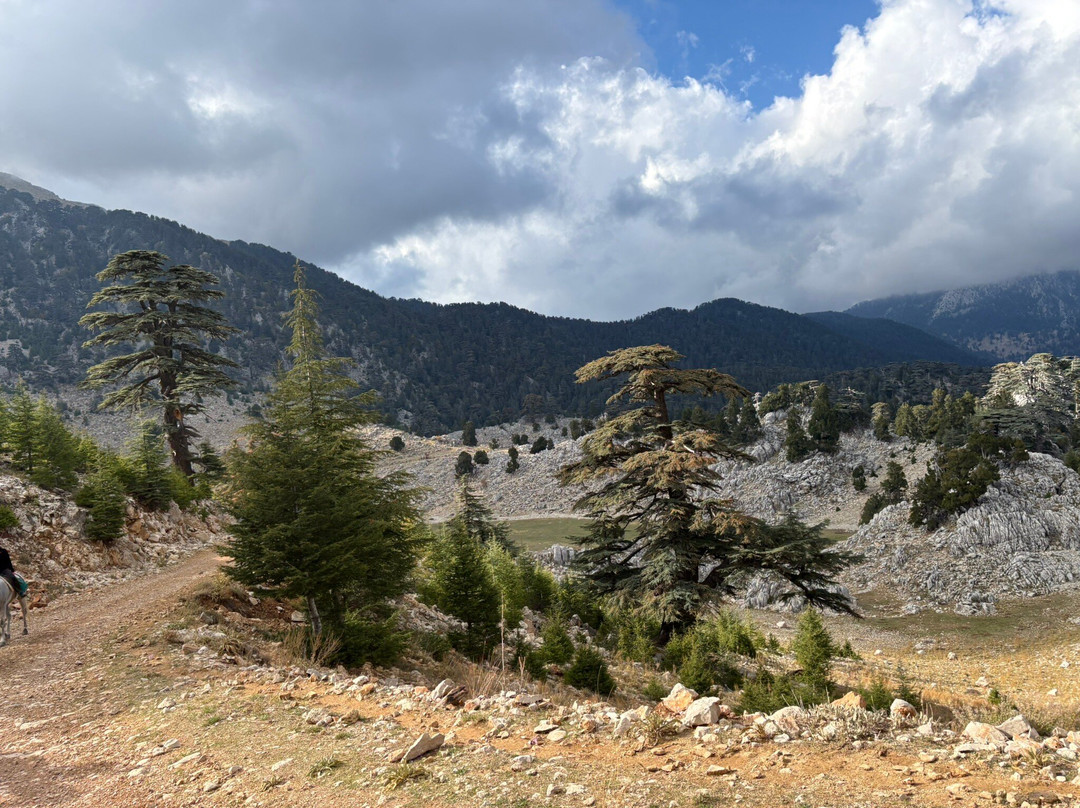 Hilal Ranch Kemer Horse Riding Center-凯梅尔必去景点