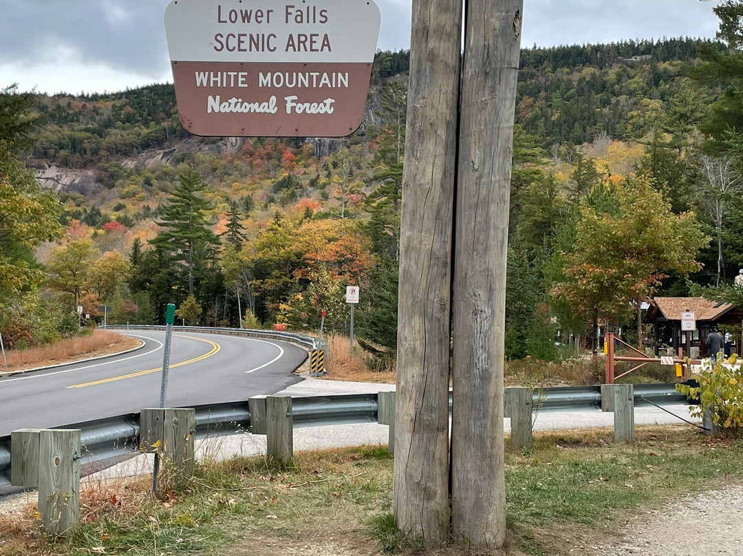 Timi's Tours-Moweaqua必去景点