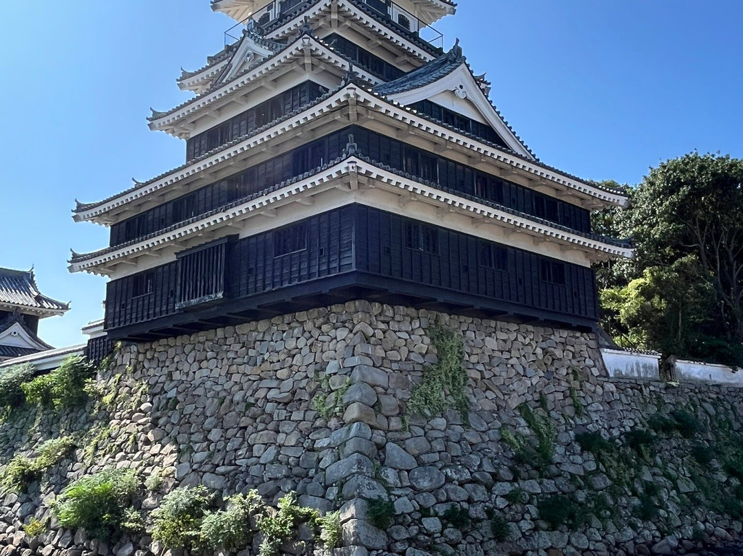 Nakatsu Castle-中津市必去景点
