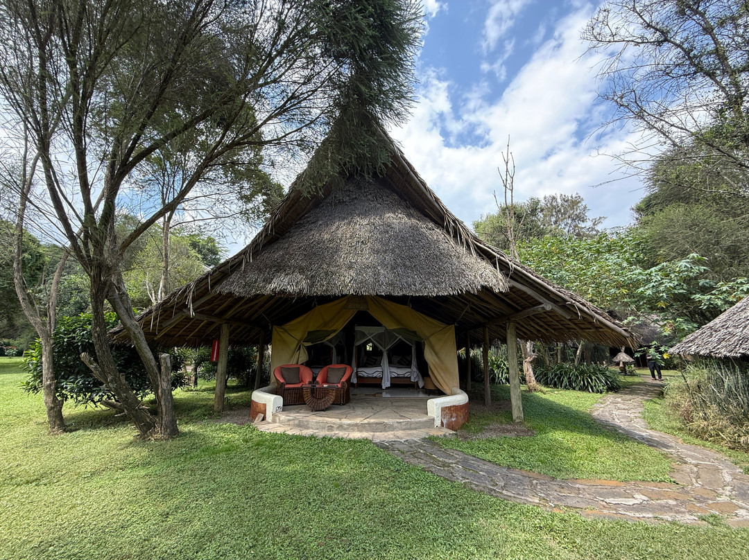 Flamingo Hill Tented Camp主图