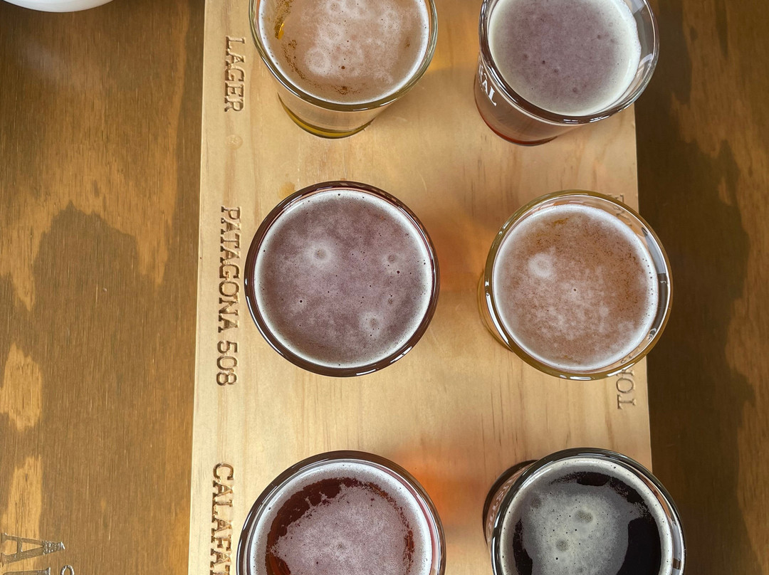 Cervecería Austral-蓬塔阿雷纳斯必去景点