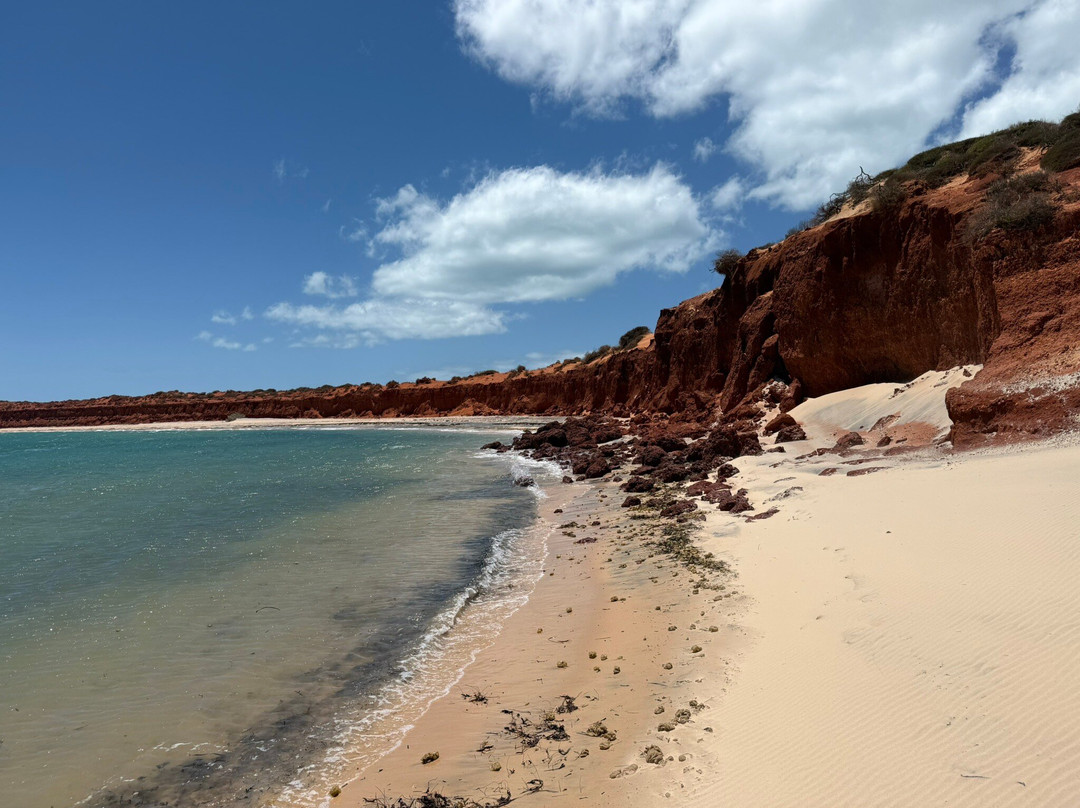 Wildsights-德纳姆必去景点