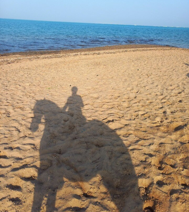 Habiba Horse-艾高娜必去景点