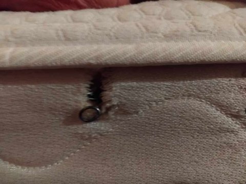 加勒比汽车旅馆-客卧