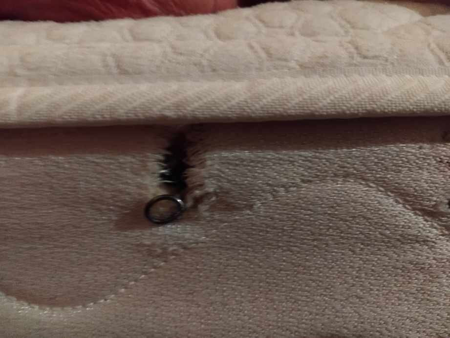 加勒比汽车旅馆主图