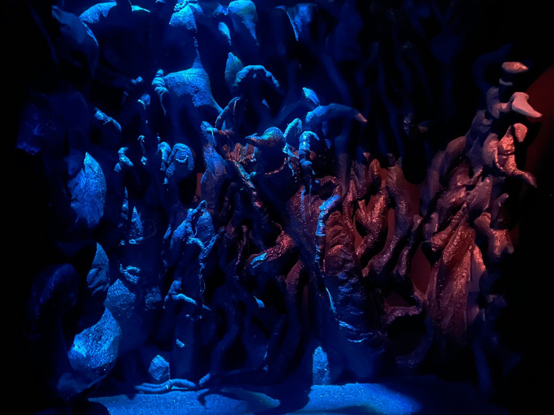 Harry Potter: Visions Of Magic Singapore-圣淘沙岛必去景点