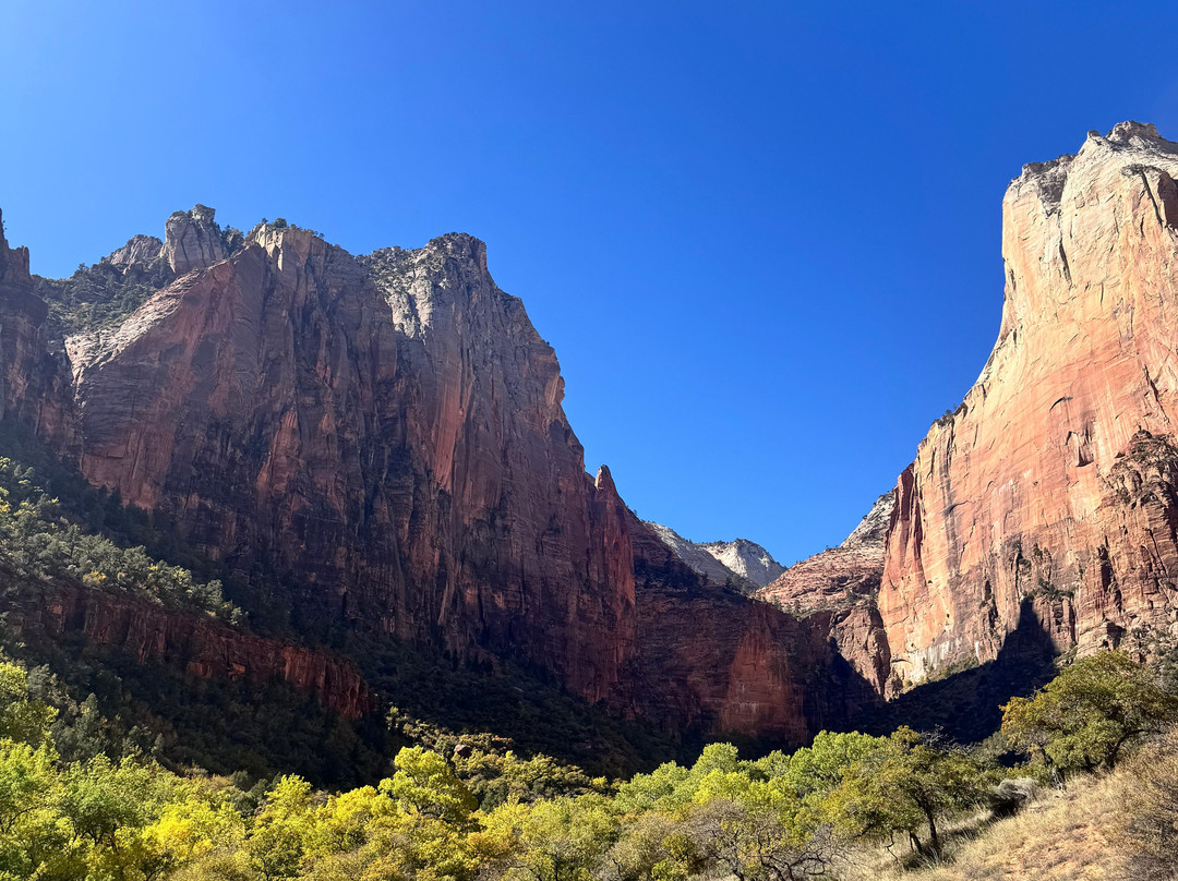 Canyon Trail Rides-锡安国家公园必去景点
