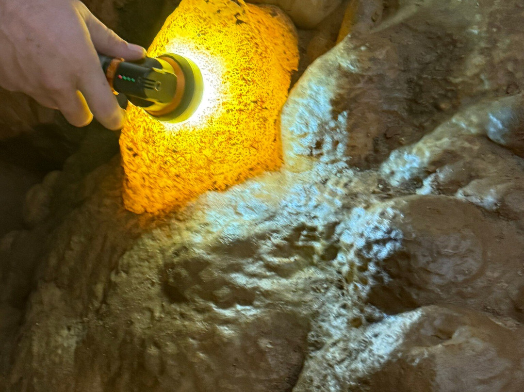 Cosmic Cavern-Berryville必去景点