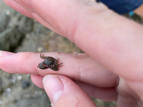 Wrightsville Kayak Company-威尔明顿必去景点