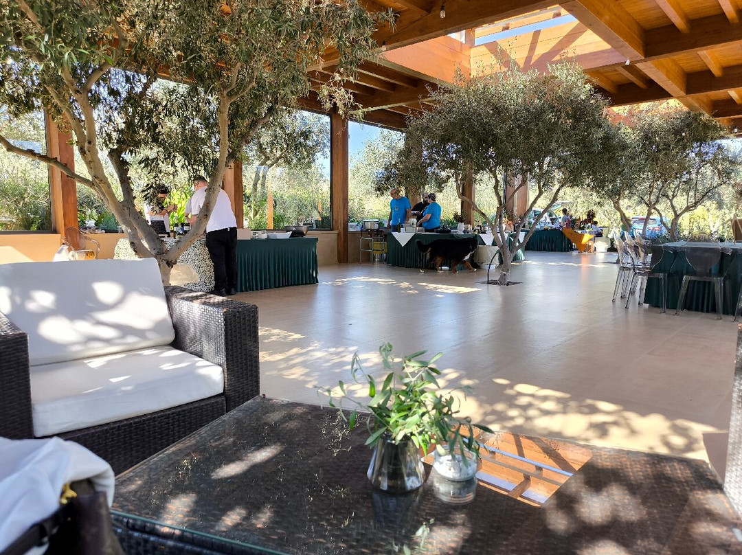 Terre di Zaccanello主图