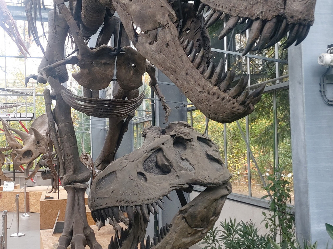 Het Oertijdmuseum-Boxtel必去景点