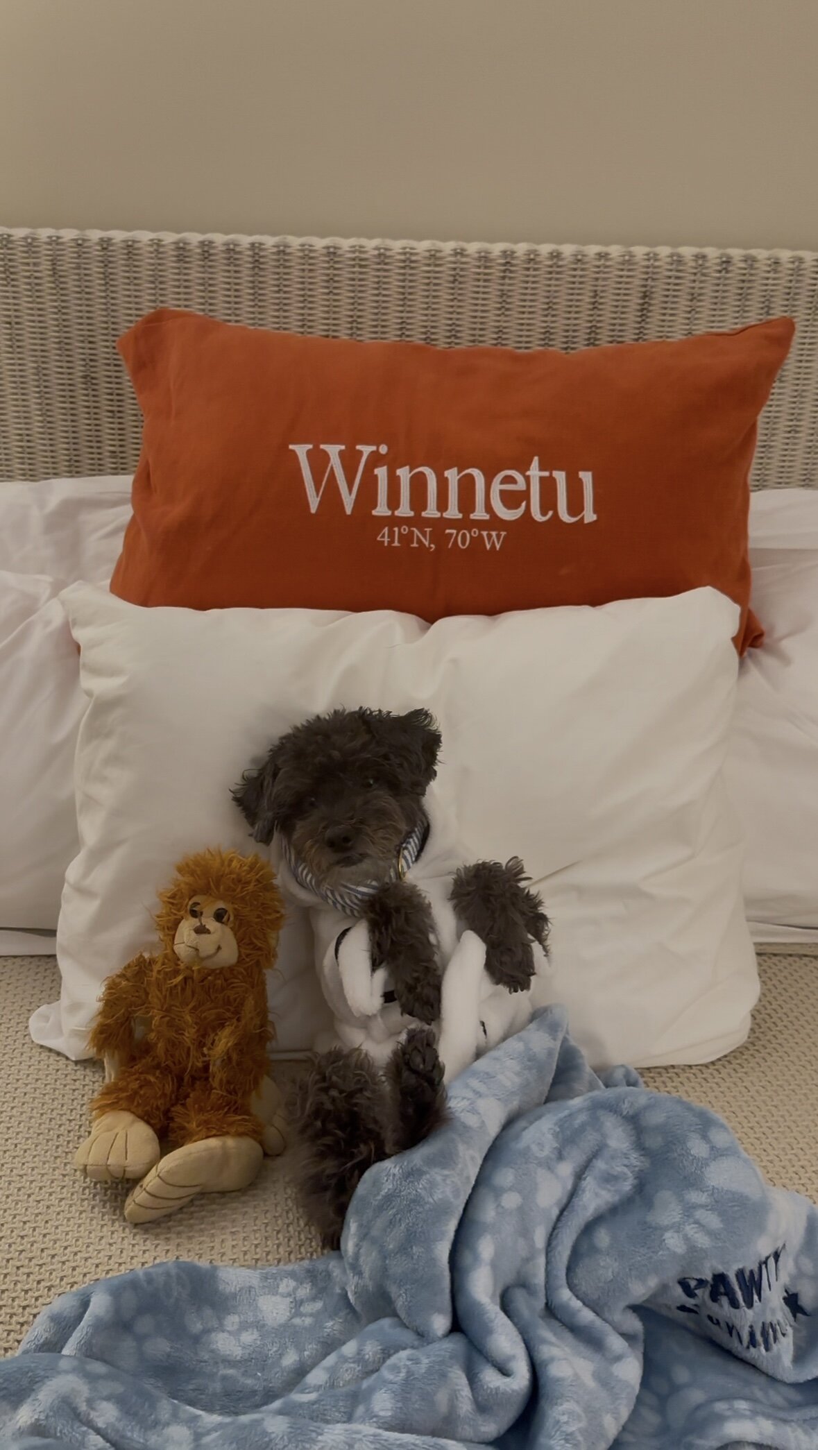 Winnetu Oceanside Resort-客卧