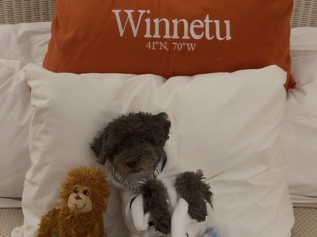 Winnetu Oceanside Resort主图