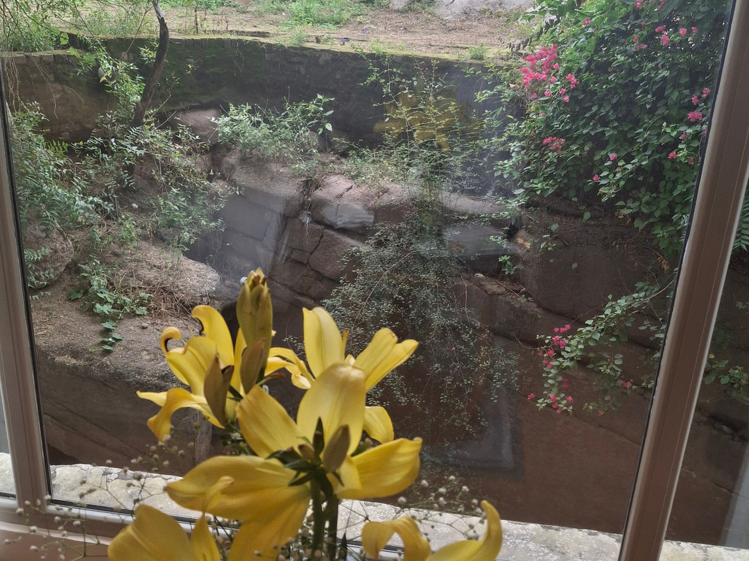 Taj Surajkund Resort & Spa, Delhi NCR主图