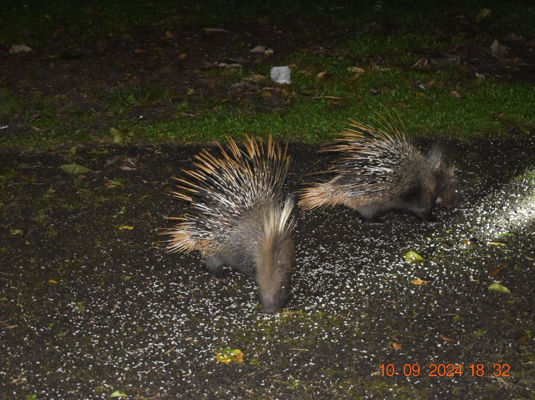 KTDC Periyar House主图