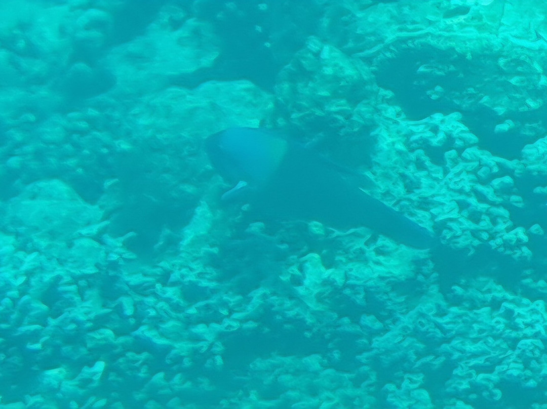 View Ningaloo-埃克斯茅斯必去景点