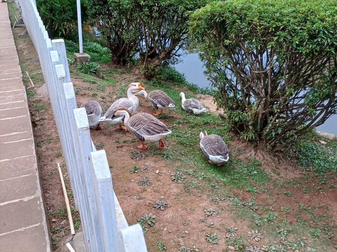 Ward's Lake-西隆必去景点