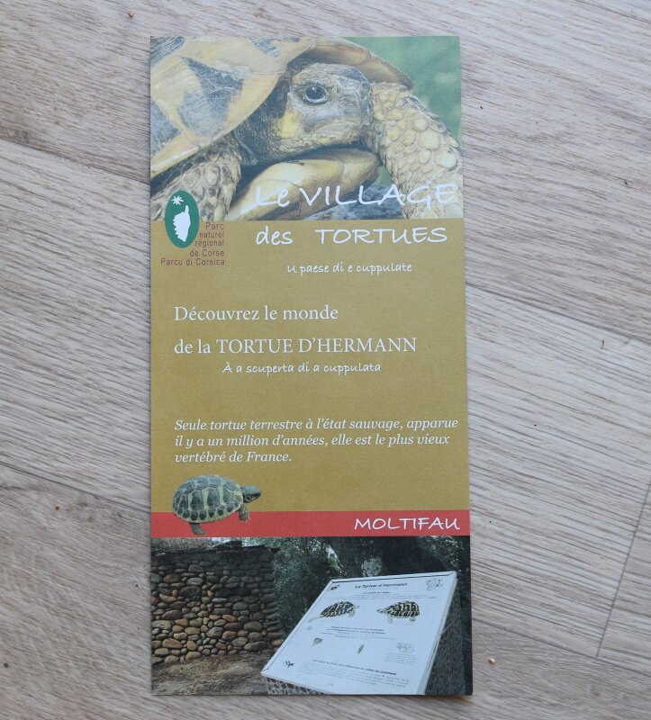 Le village des tortues-Moltifao必去景点