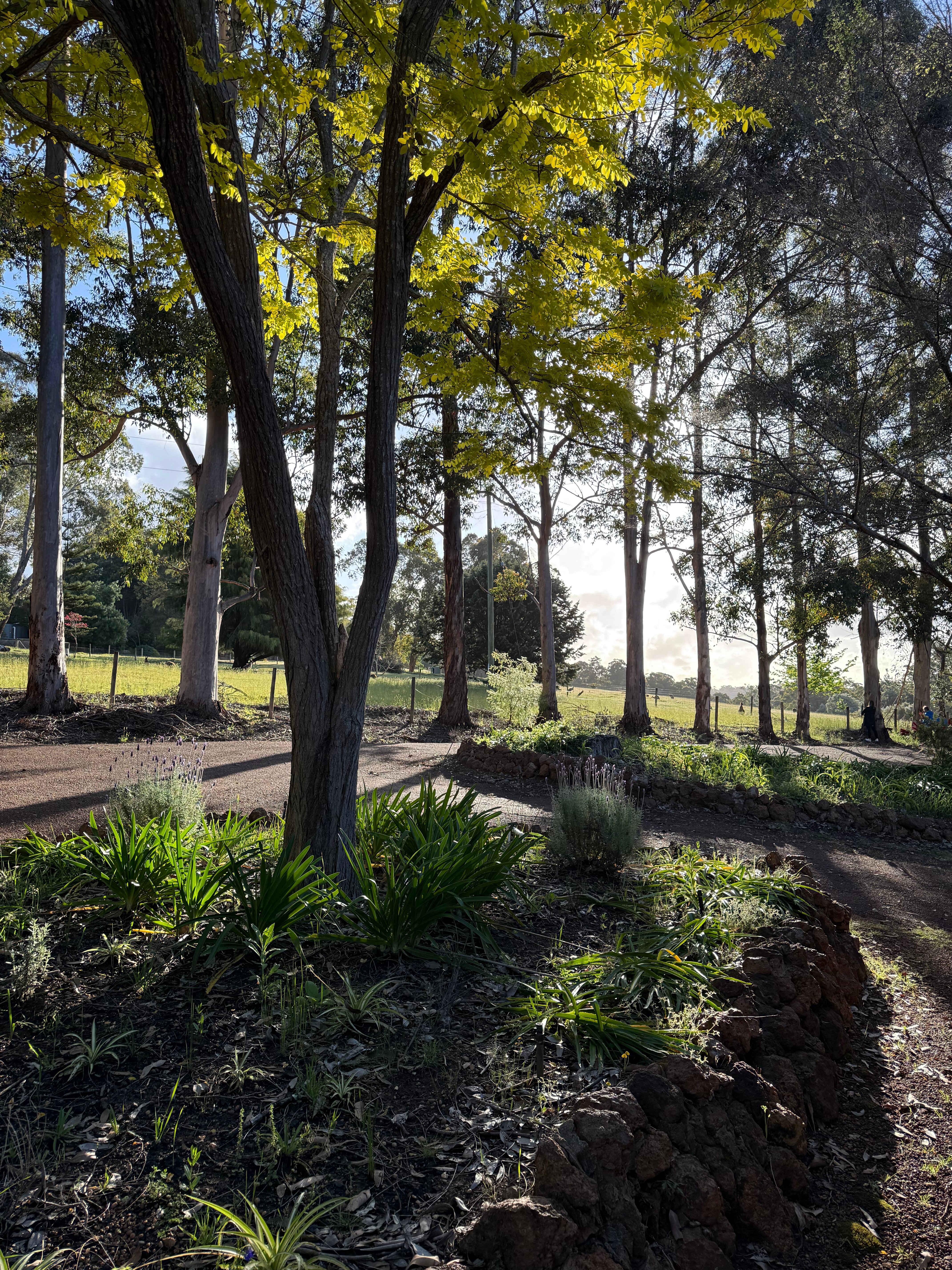 森林山林小屋度假酒店-浴室