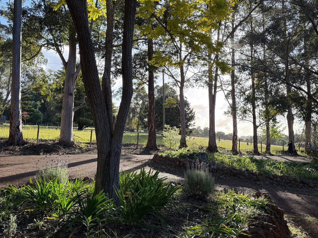 森林山林小屋度假酒店主图