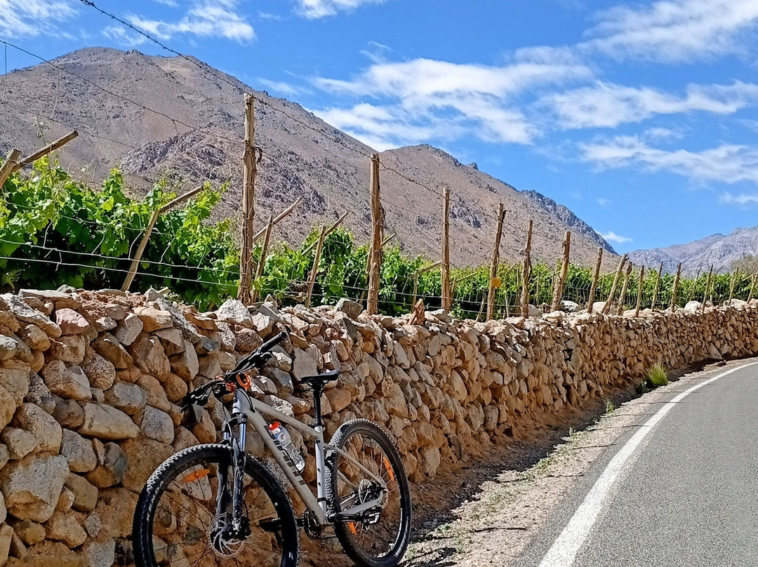 Elki Magic-Vicuna必去景点