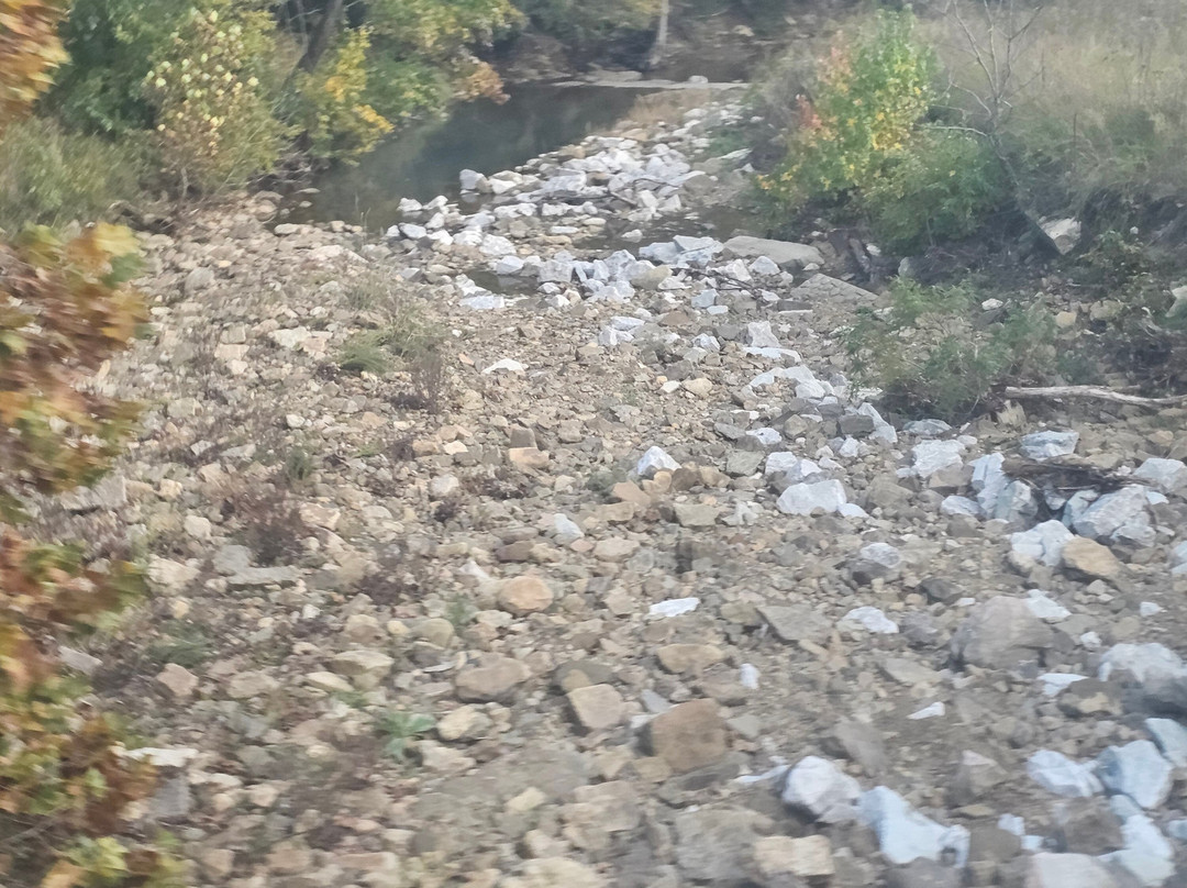 Arkansas & Missouri Railroad-Springdale必去景点