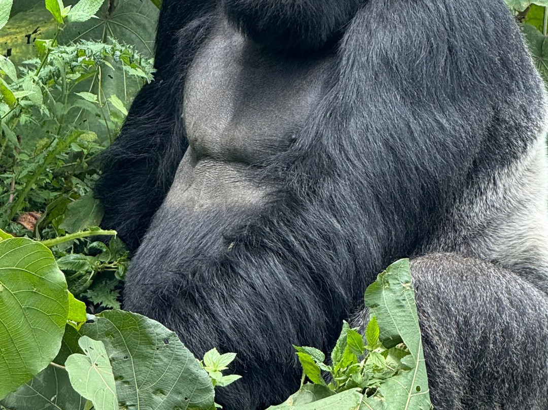 Jemu Expeditions-南由基必去景点