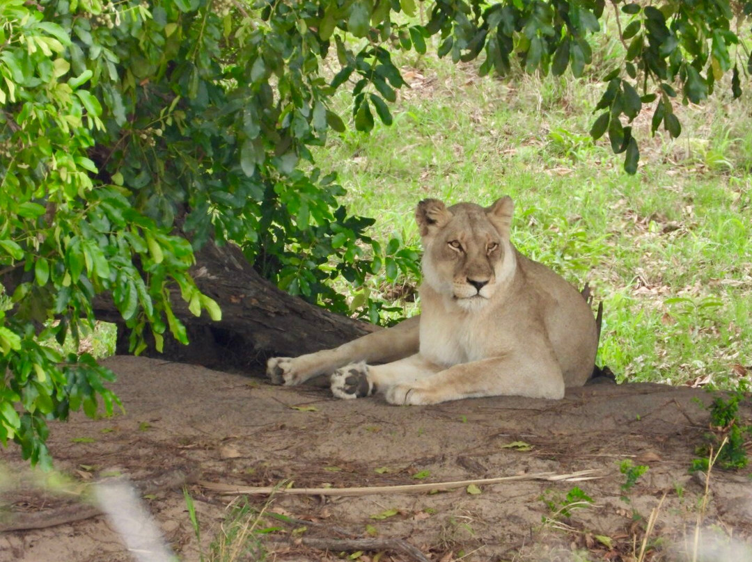 Southern Kruger Safaris-玛洛斯帕克必去景点