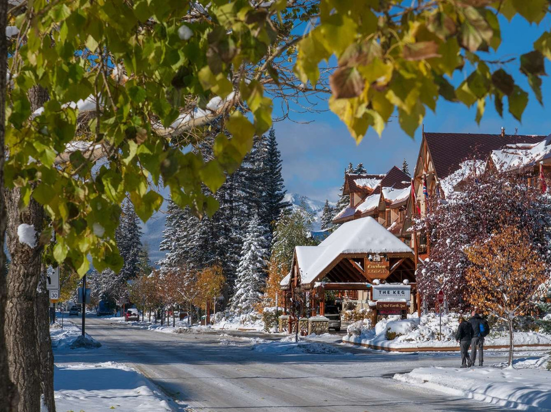班夫驯鹿住宿温泉酒店