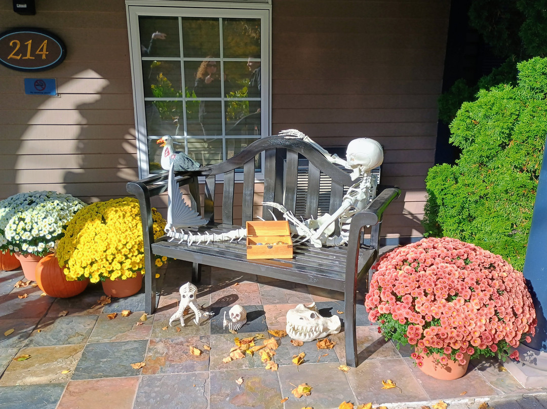 Sea Rose Suites主图