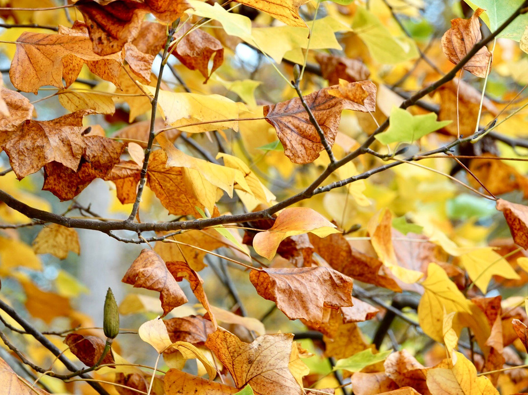 Landgoed Schovenhorst-Putten必去景点