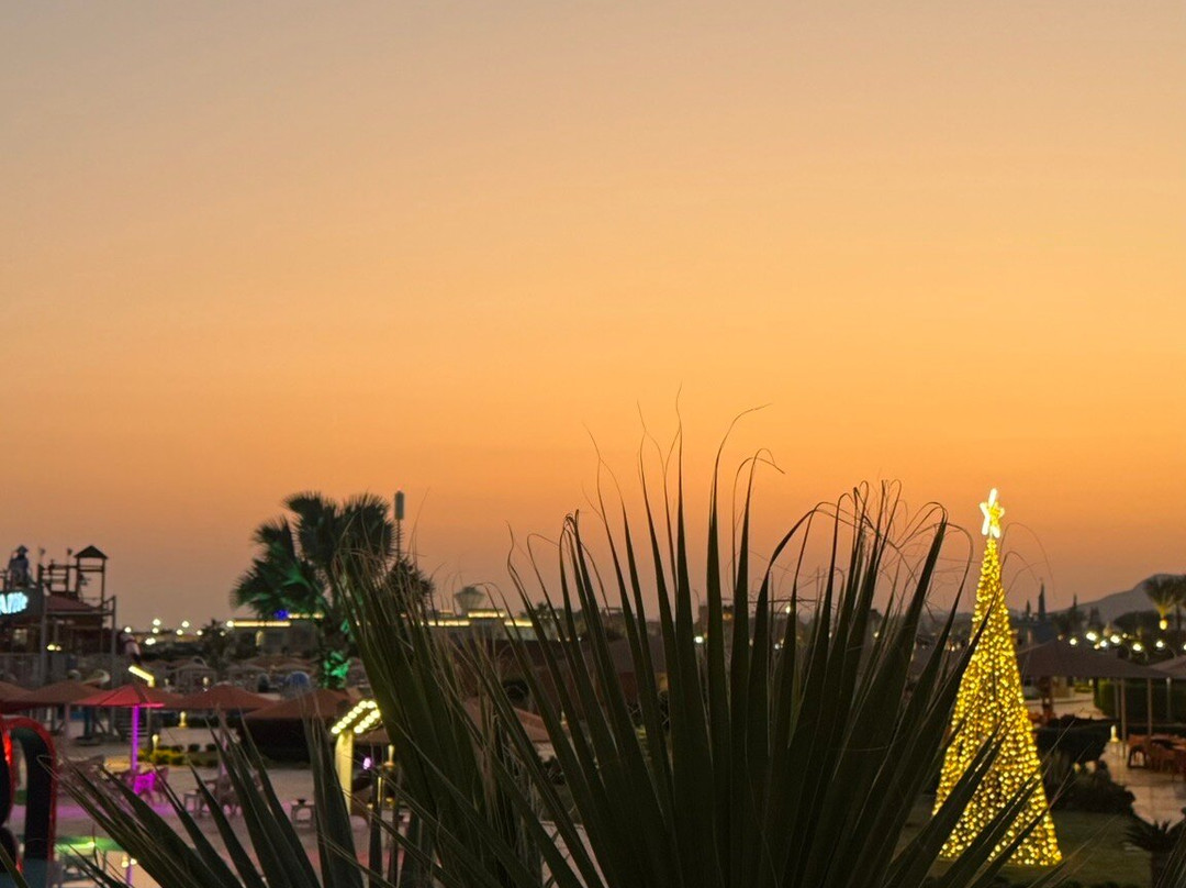 Albatros Aqua Park Sharm-沙姆沙伊赫必去景点