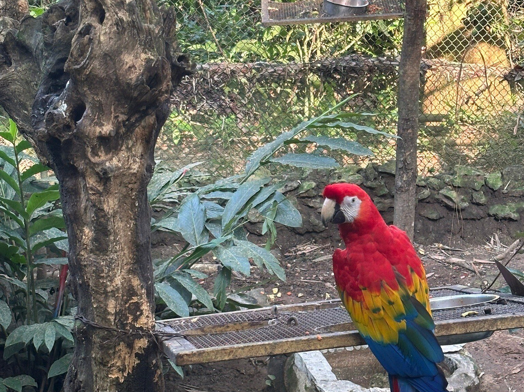 Aluxes Ecoparque-帕伦克必去景点