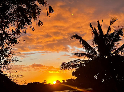 Amoya Villa & Suites