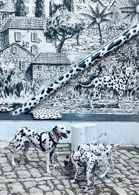 Home Of The Dalmatian Dog-希贝尼克必去景点