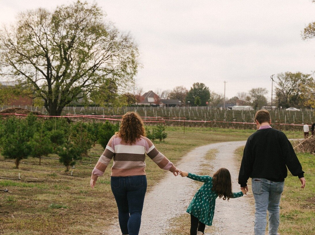 Owasso Christmas Tree And Berry Farm-奥瓦索必去景点