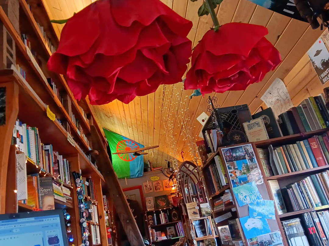 White Rabbit Books and Curiosities-杜兰戈必去景点