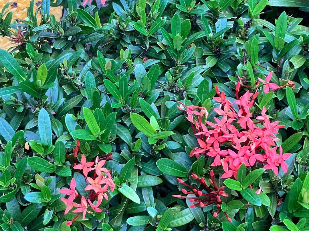 Agua Clara Locks-个郎必去景点