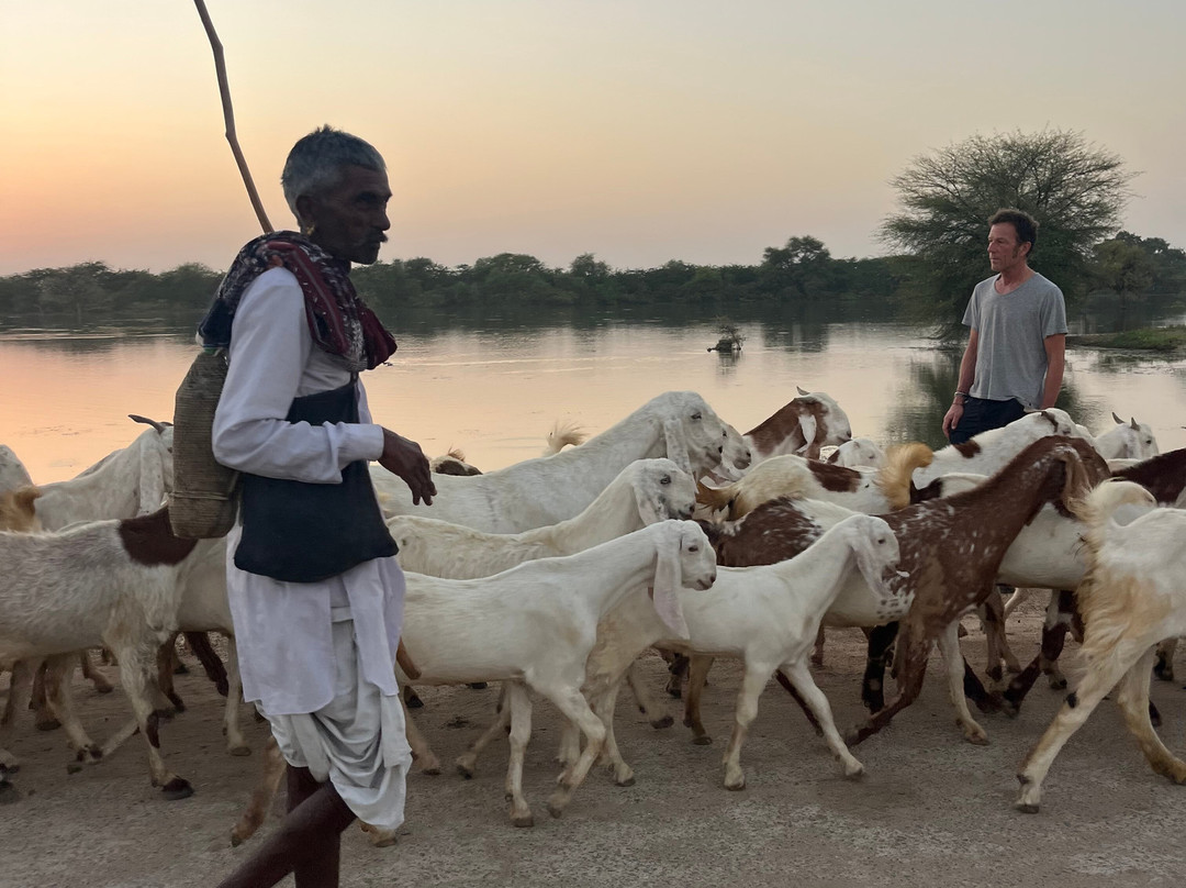 Indian Rides-斋蒲尔必去景点