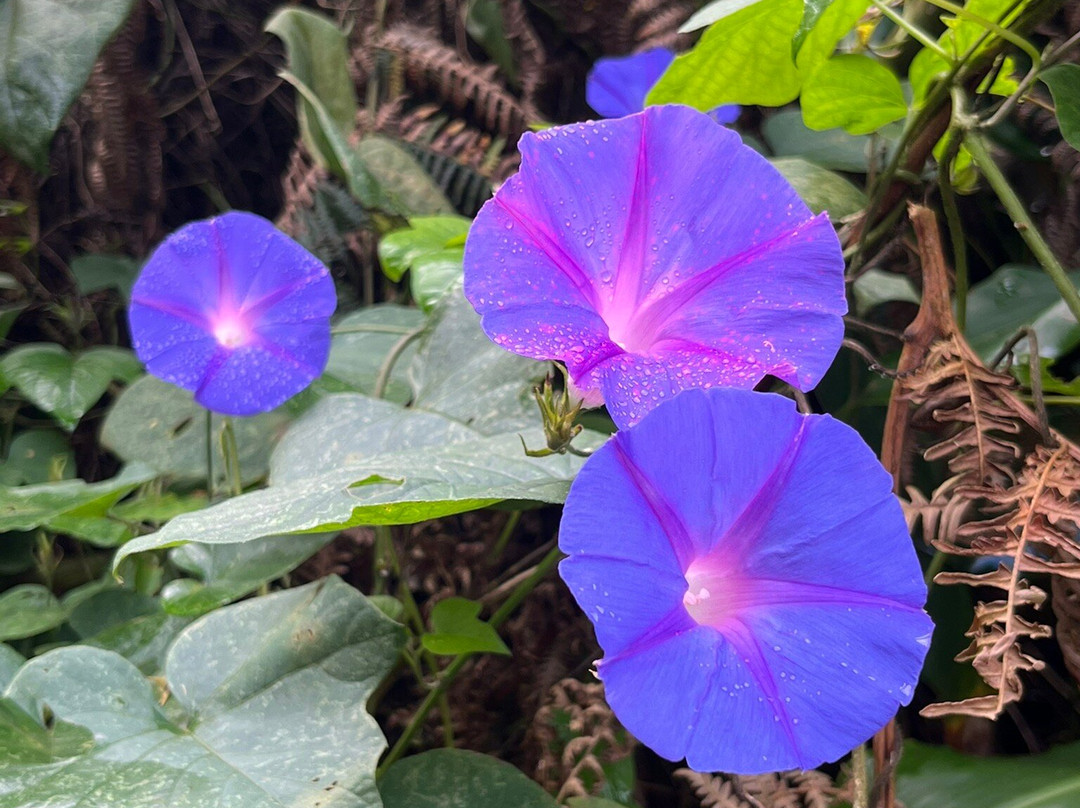 Trilho Moinho do Félix - Cascatas-Salga必去景点