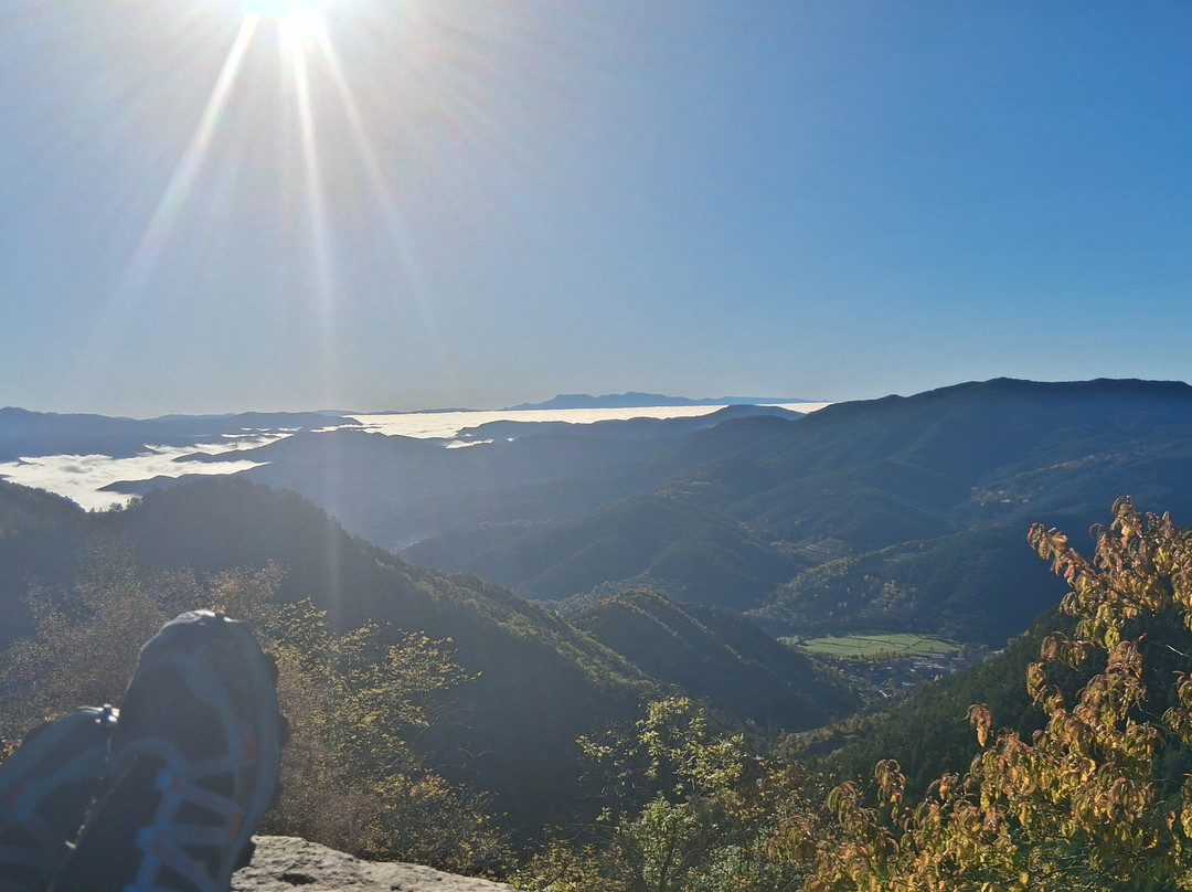 Santuari de Santa Maria de Montgrony-Gombren必去景点