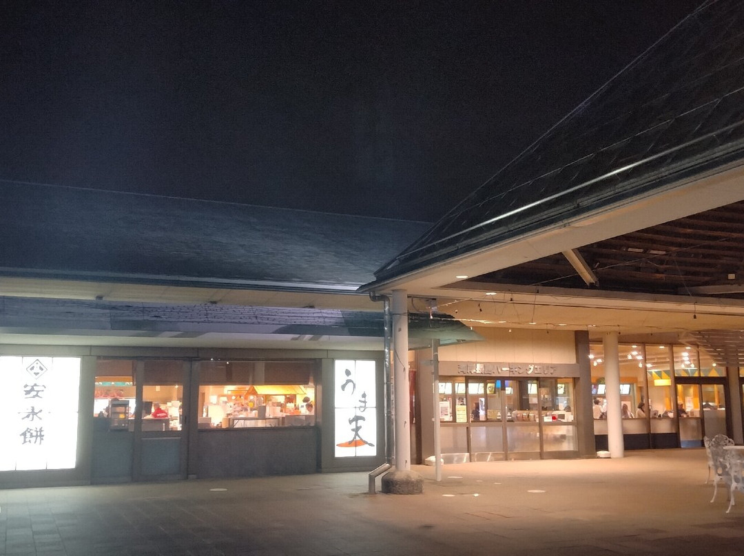 Wangan Nagashima Parking Area Outbounds-桑名市必去景点