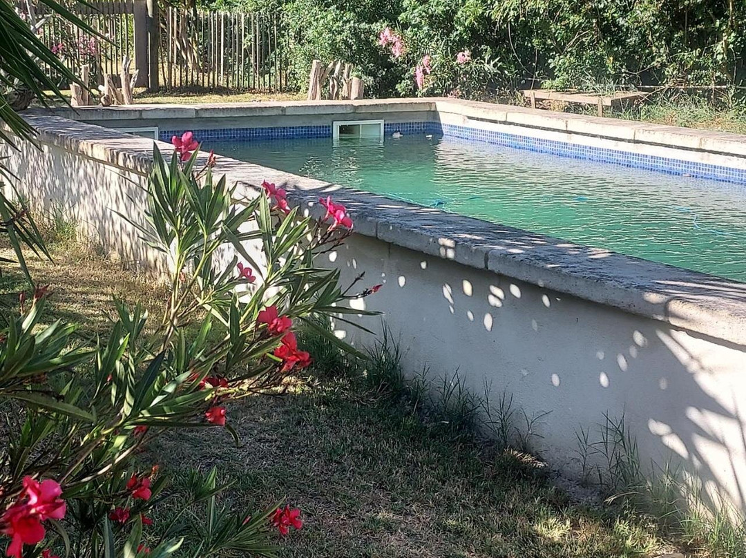 Albaron酒店住宿-B&B Bergerie D'Alivon eEn Camargue