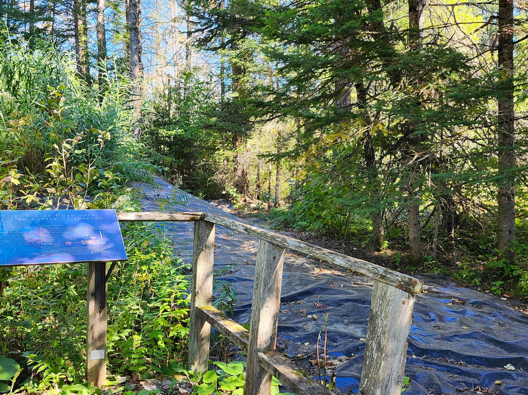 Les Marais du Nord-Stoneham-et-Tewkesbury必去景点