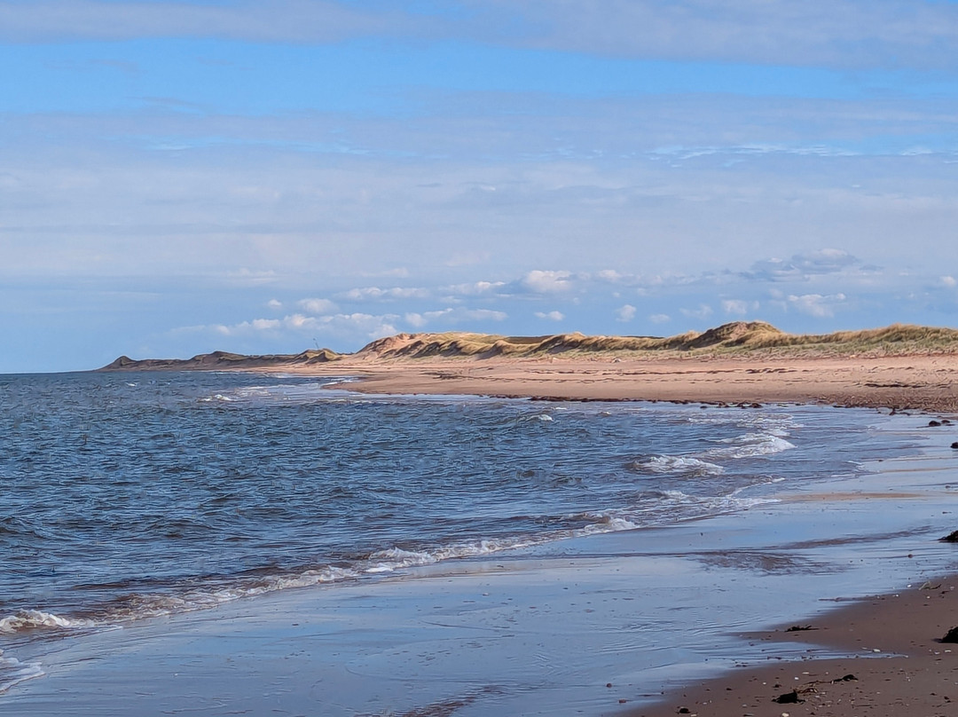 Brackley Beach-Brackley Beach必去景点