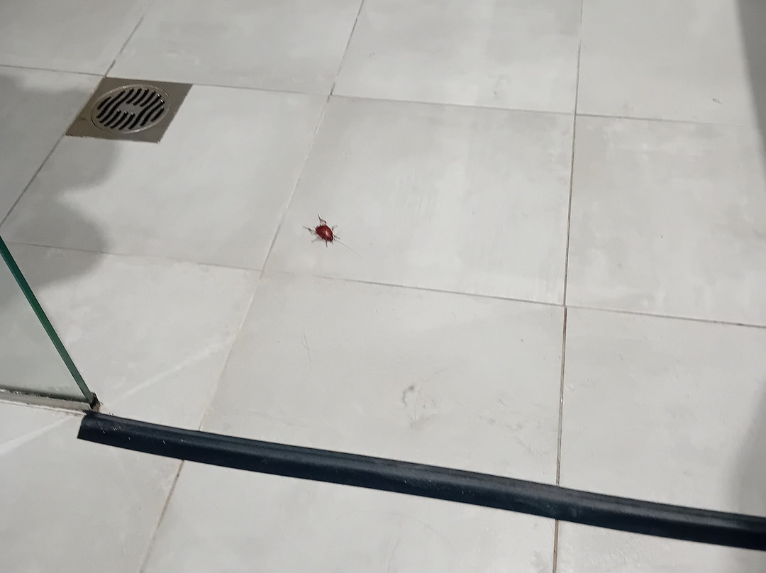 The Convo Athens Riviera主图