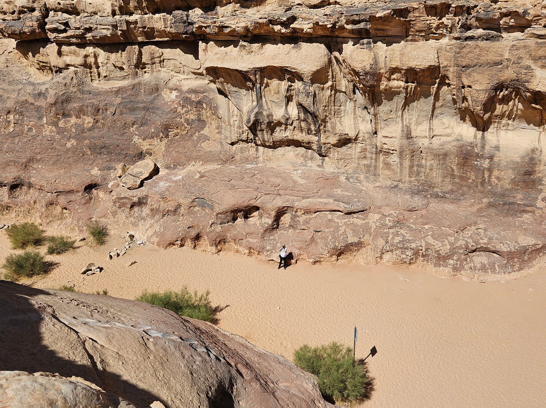 Wadi Rum Caravan Tours-Wadi Rum Village必去景点